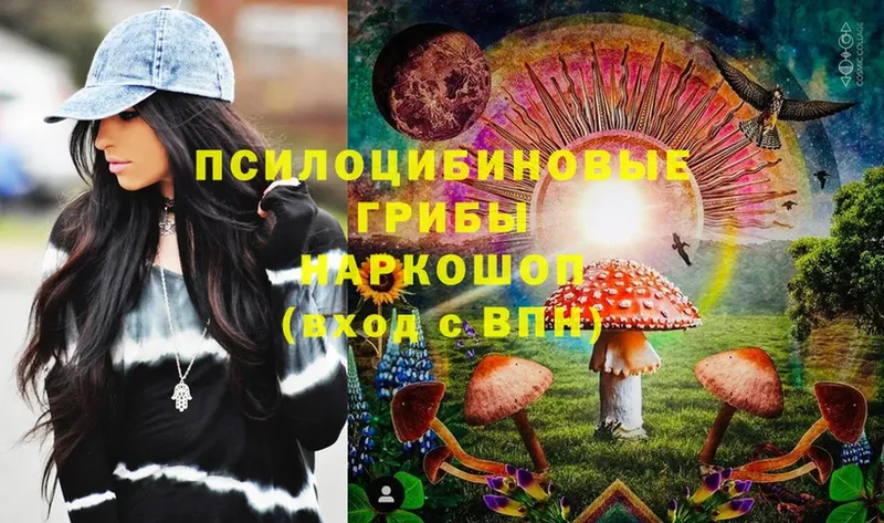 купить  сайты  Новомосковск  Псилоцибиновые грибы MAGIC MUSHROOMS 